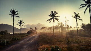 indonesia.jpg