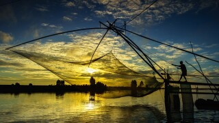 Sunrise scene in Tha La cultivation field with fishing net in Chau Doc, An Giang province, South Vietnam