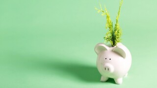 green finance