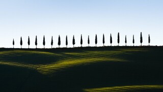 The decision stands against the trend adopted by the Supreme Court in recent years