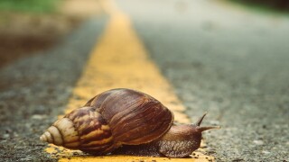 slow
