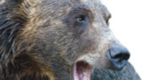 russia-bear1.jpg