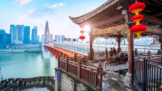 vivien-chen-adobestock-233338704.jpg