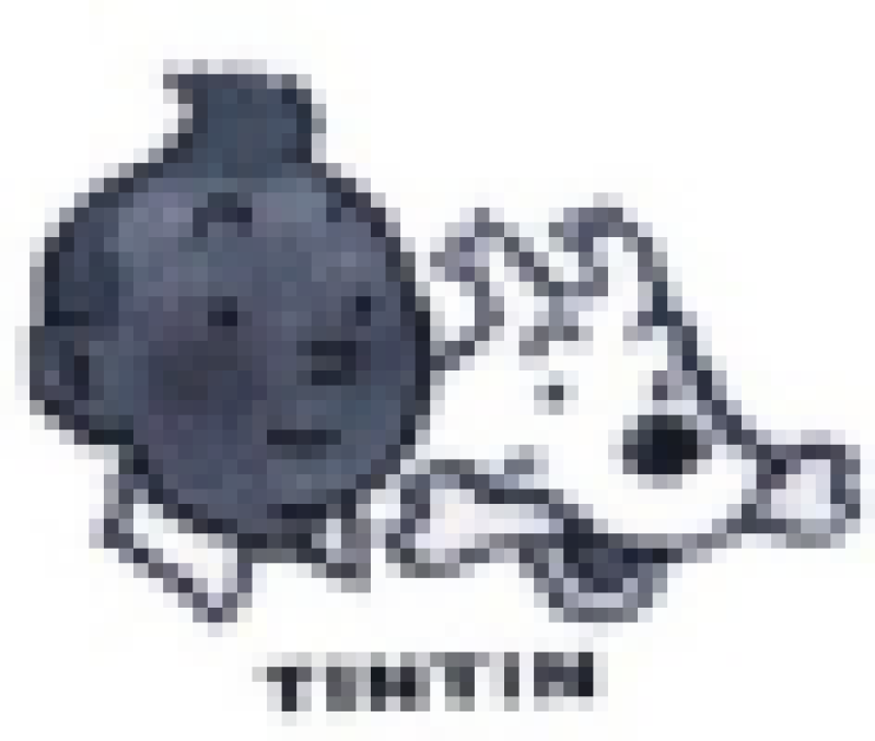 tintin2-59.png