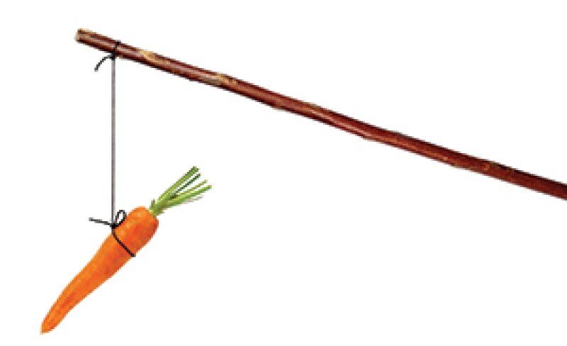 carrot.jpg