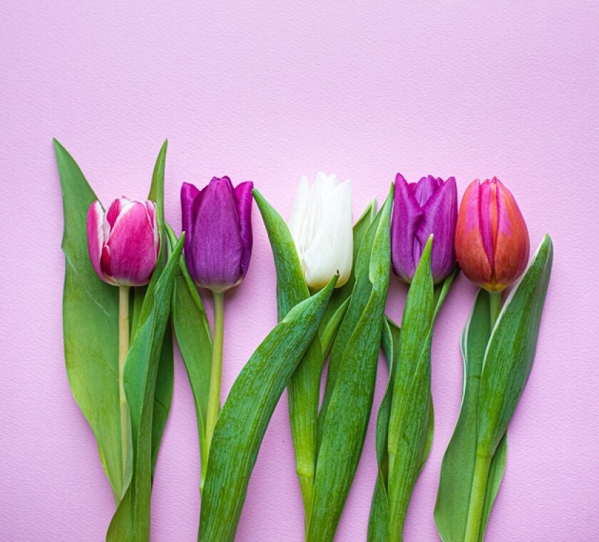 The proposed changes may take away a large number of hybrid mismatches