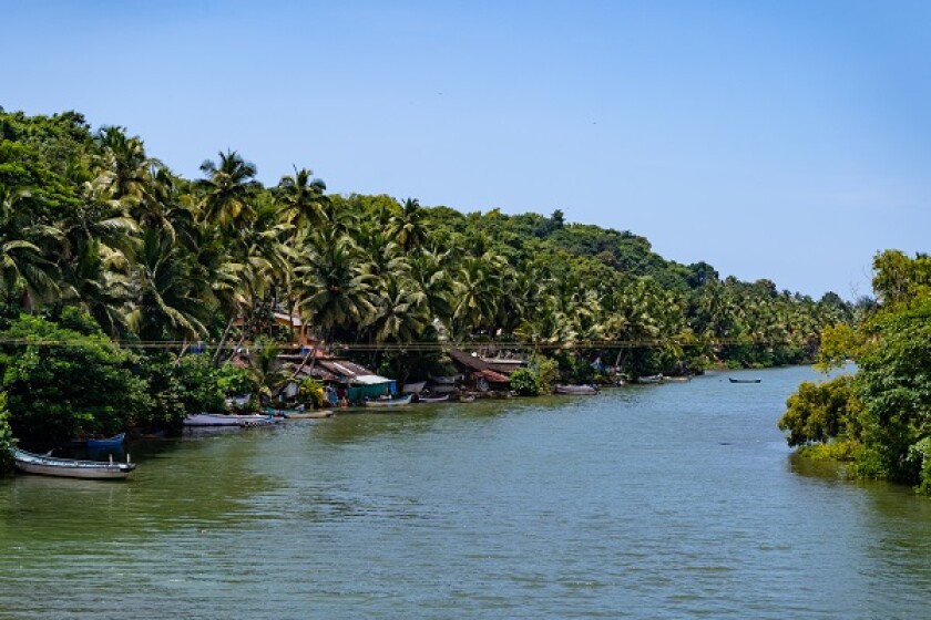 view into the green channel of the indian backwaters, india