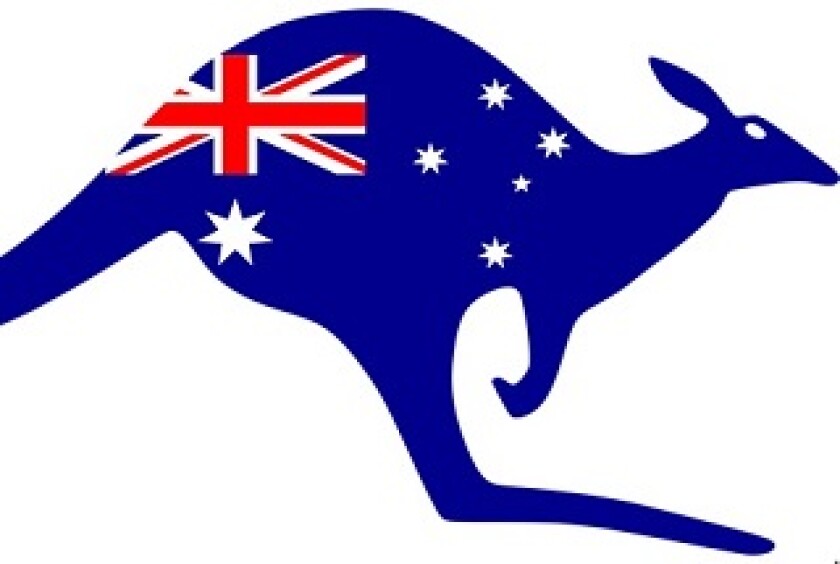 Australia kangaroo big