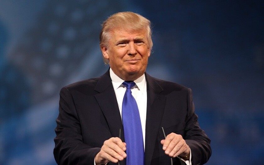 Donald big