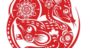 Year of the Rat 2020