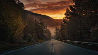 road-7525091.jpg