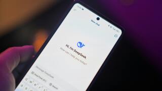 DeepSeek