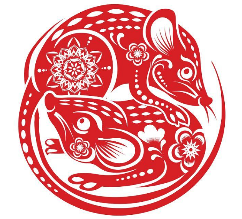 Year of the Rat 2020