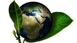 earth plant carbon environment 320 x 215