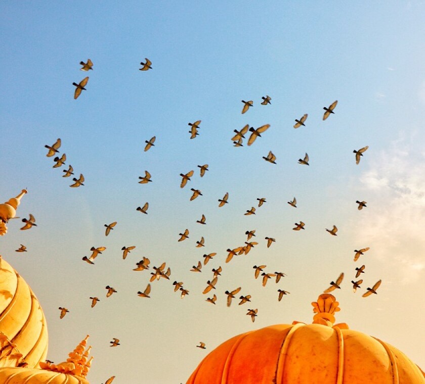 The proposed amendments may provide clarity and certainty for the future