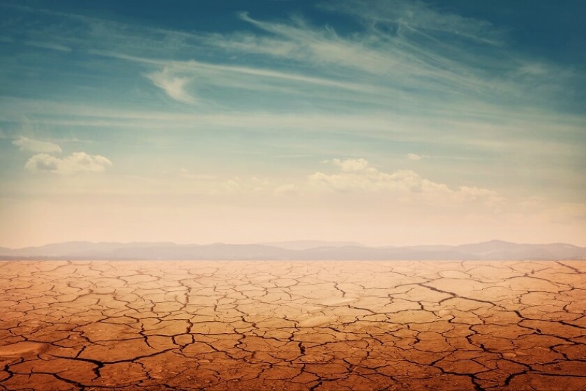 desertBrexit