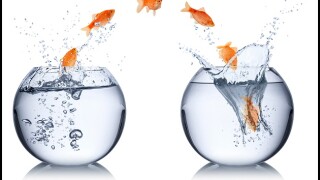 Some taxpayers are choosing alternatives to traditional Big Four tax advisory
