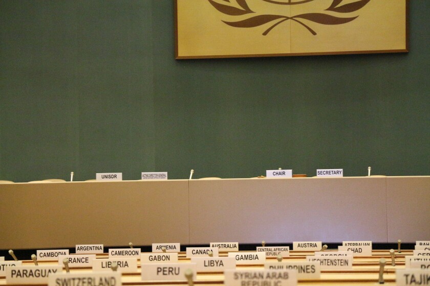 davi-mendes-united-nations.jpg