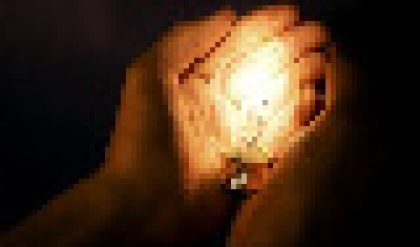 bulb.jpg