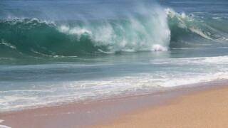 wave.jpg