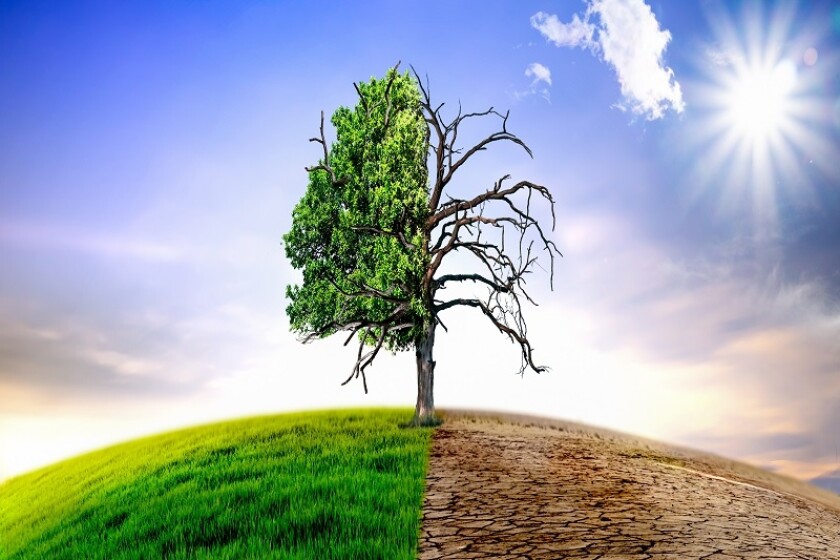 climaterapidlychanging