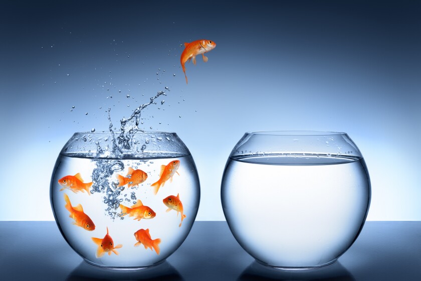 goldfish jumping - improvement and career concept