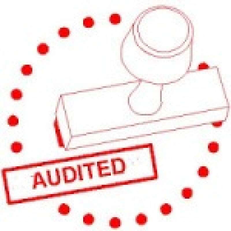 audit150.jpg