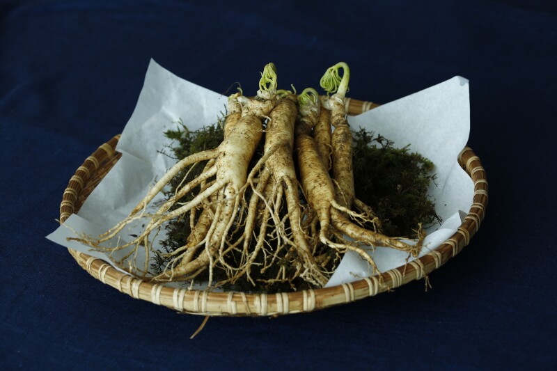 ginseng-3404958.jpg