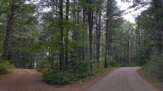 crossroads-997123.jpg