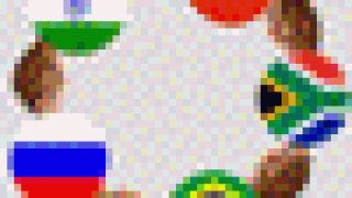 brics50.gif