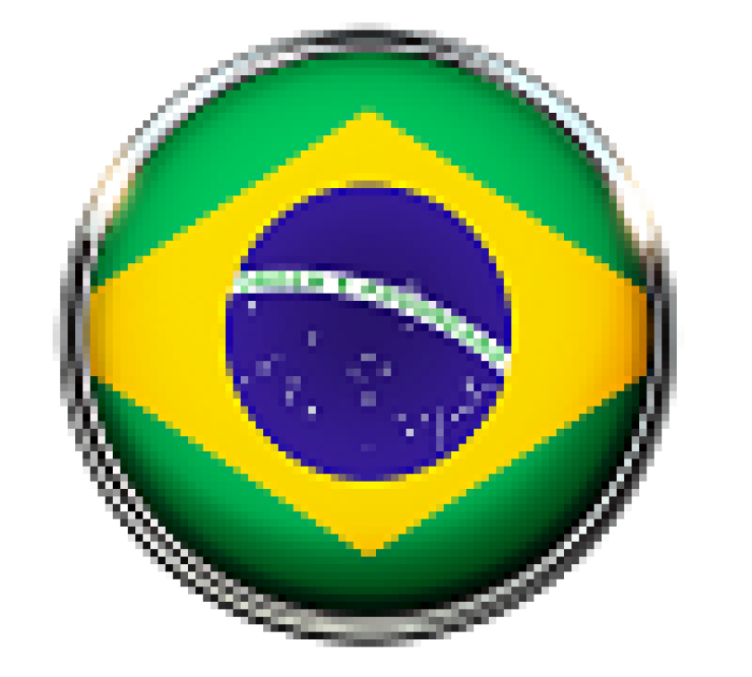 brazil flag circular