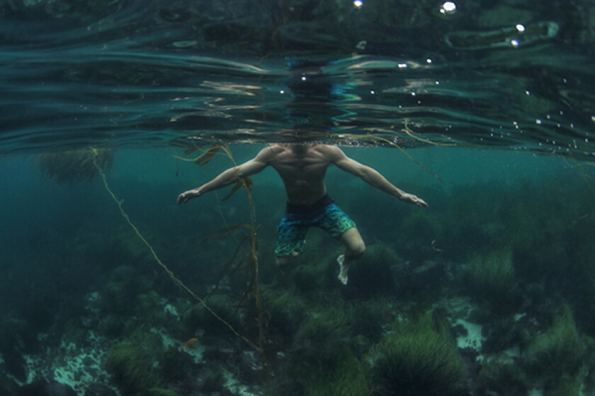 editorial