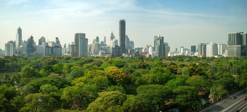 Public park and high-rise buildings cityscape in metropolis city center