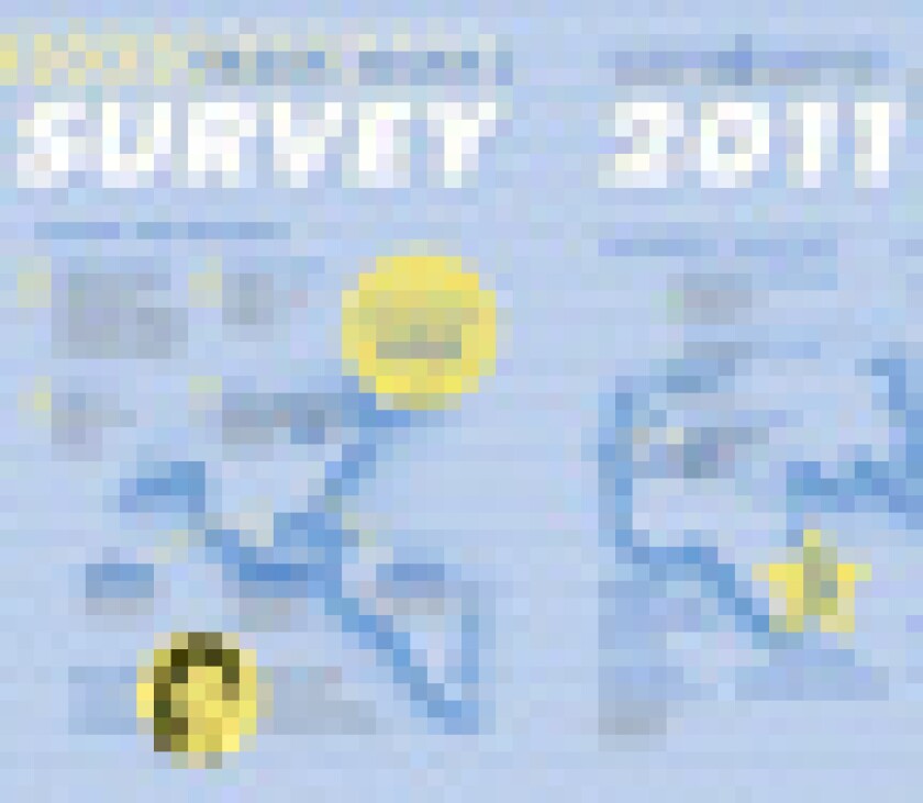 survey-puff.jpg