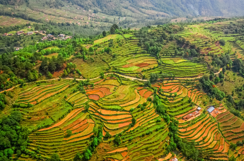 Low-risk distributors.png