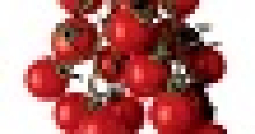 tomatoes-55.jpg