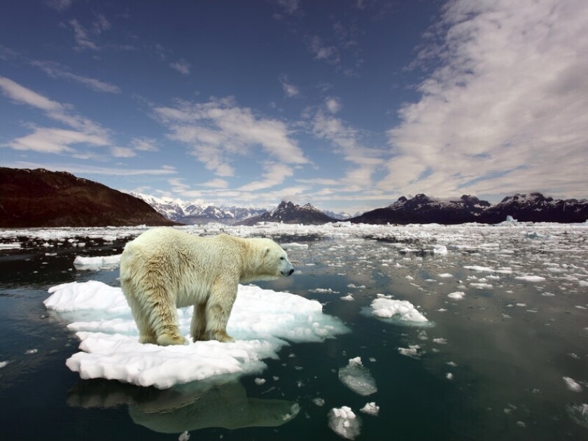 climate change
