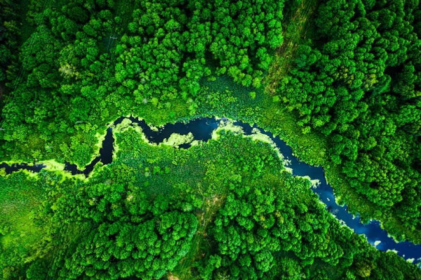 green