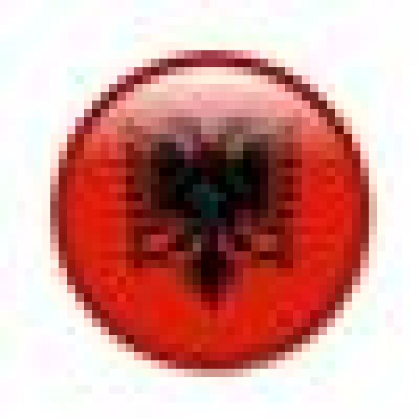 albania-flag.jpg
