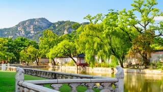 yoon-yang-adobestock-297796333.jpg
