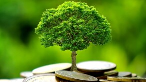 Carbon pricing is crucial to a green recovery 