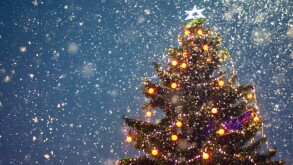 Illuminated christmas tree at night with falling snow and copy s