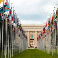 UN - OECD 2.jpg