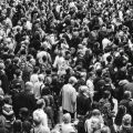 crowd