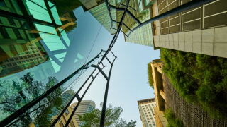 green-city.jpeg