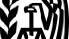 300px-irs-svg.jpg