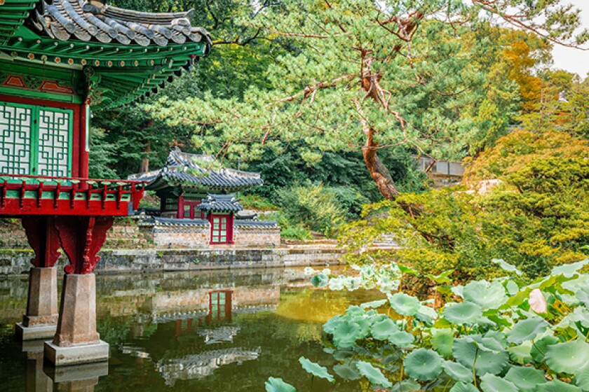 jipyong-adobestock-297828787.jpg