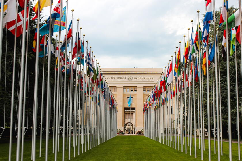 UN - OECD 2.jpg