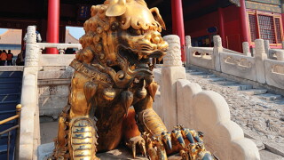 liu-shen.jpg