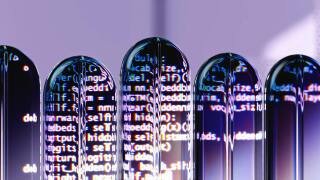 pexels-googledeepmind-18069694.jpg
